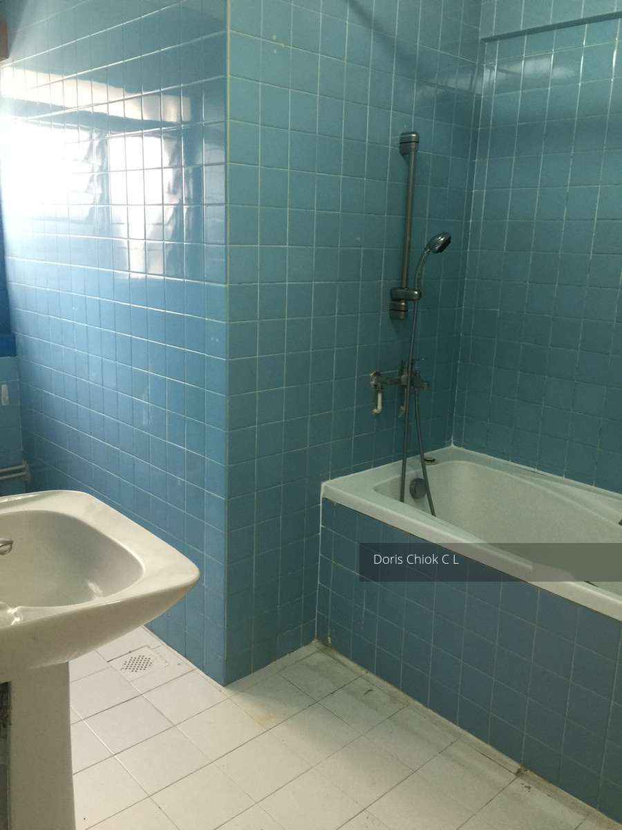 Cairnhill Mansions (Enbloc) (D9), Apartment #117519052